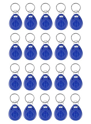 20 Access Keychains