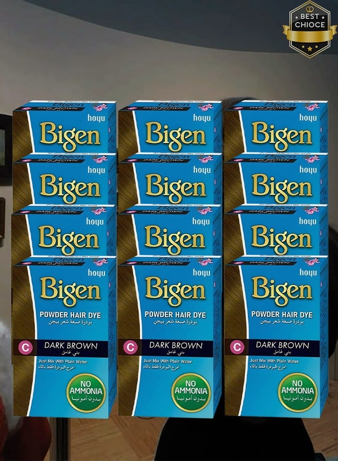 بايجن 12 قطع بودرة صبغ الشعر باللون البني الداكن مع الماء العادي بدون أمونيا 6 جرام - Image 1