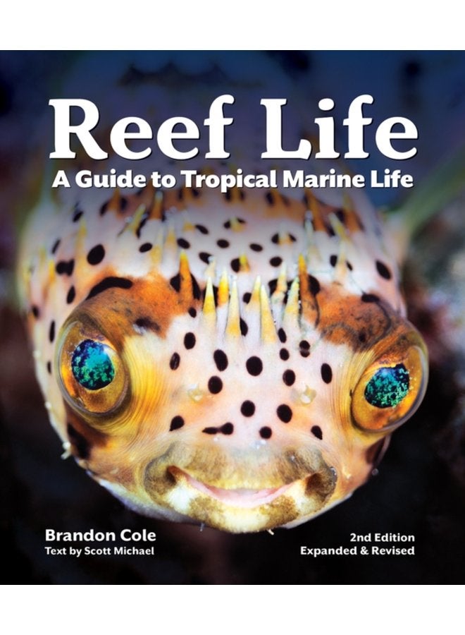 Reef Life A Guide to Tropical Marine Life - Paperback