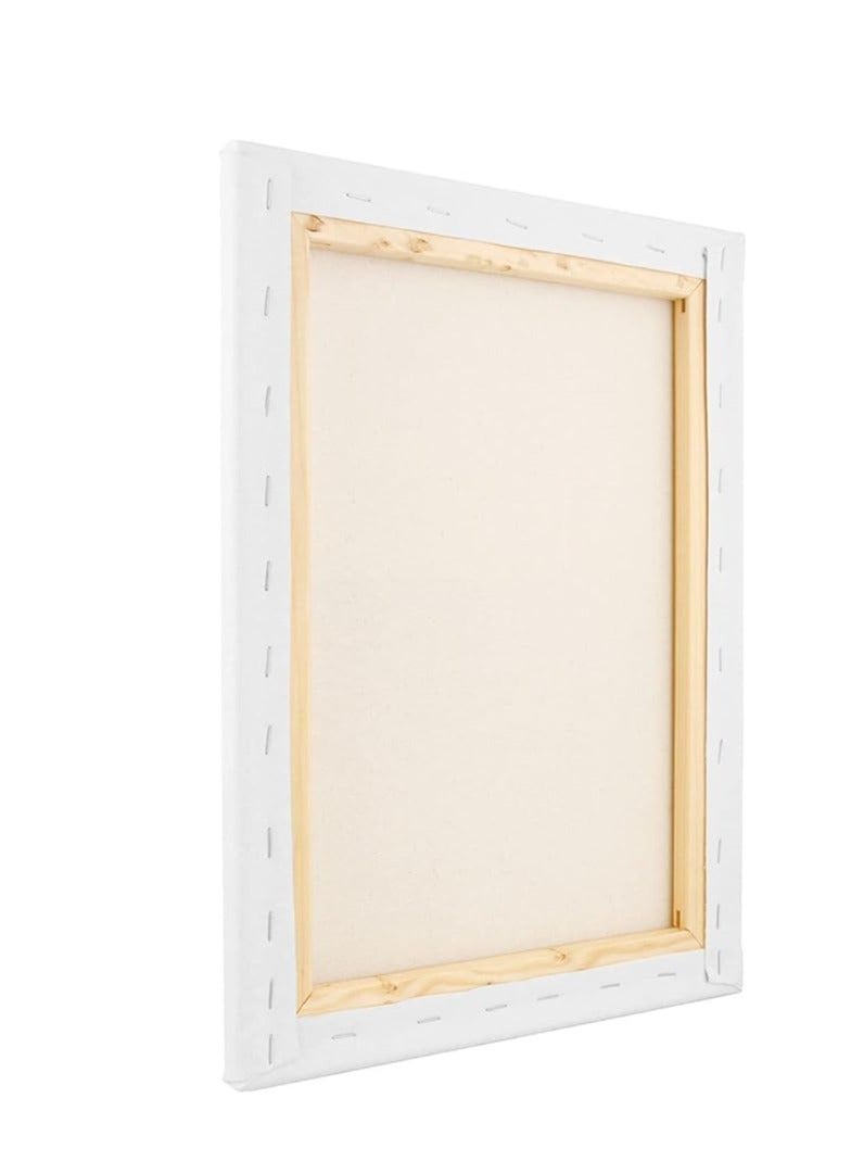 Terabyte 12-Piece Blank 280gsm Cotton Pre-Stretched Canvas Board Set 20x30cm - Image 4