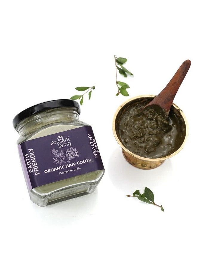 Ancient Living Organic Black Hair Color Pure Henna And Indigo Leaf Powder 100 Gm Jar  - Image 3