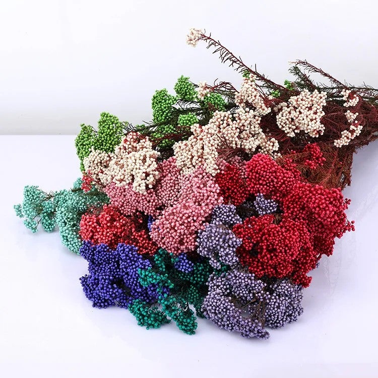 Bluejw Natural Millet Dried Flowers Preserved Rice Flowers - Easter Bouquet Christmas Graduation Decor, Home Shop Ornamentation, Dried Plants Arrangement - Image 2