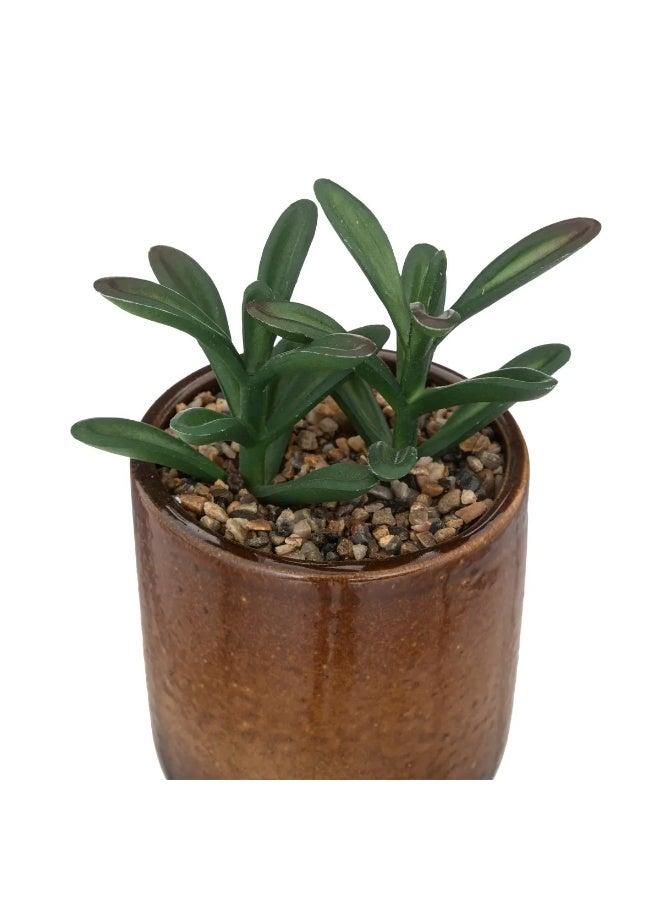 لوفت وعاء نبات،D9XH16CMS،أخضر،سيراميك-193798A - Image 3