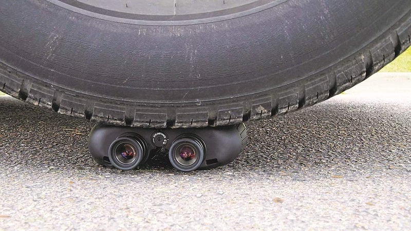 Steiner مناظير ستاينر البحرية للبالغين والأطفال، مناظير 7x50 لمشاهدة الطيور، الصيد، الرياضات الخارجية، مشاهدة الحياة البرية والحفلات - أداء عالي الجودة للعدسات المقاومة للماء، أسود - Image 3