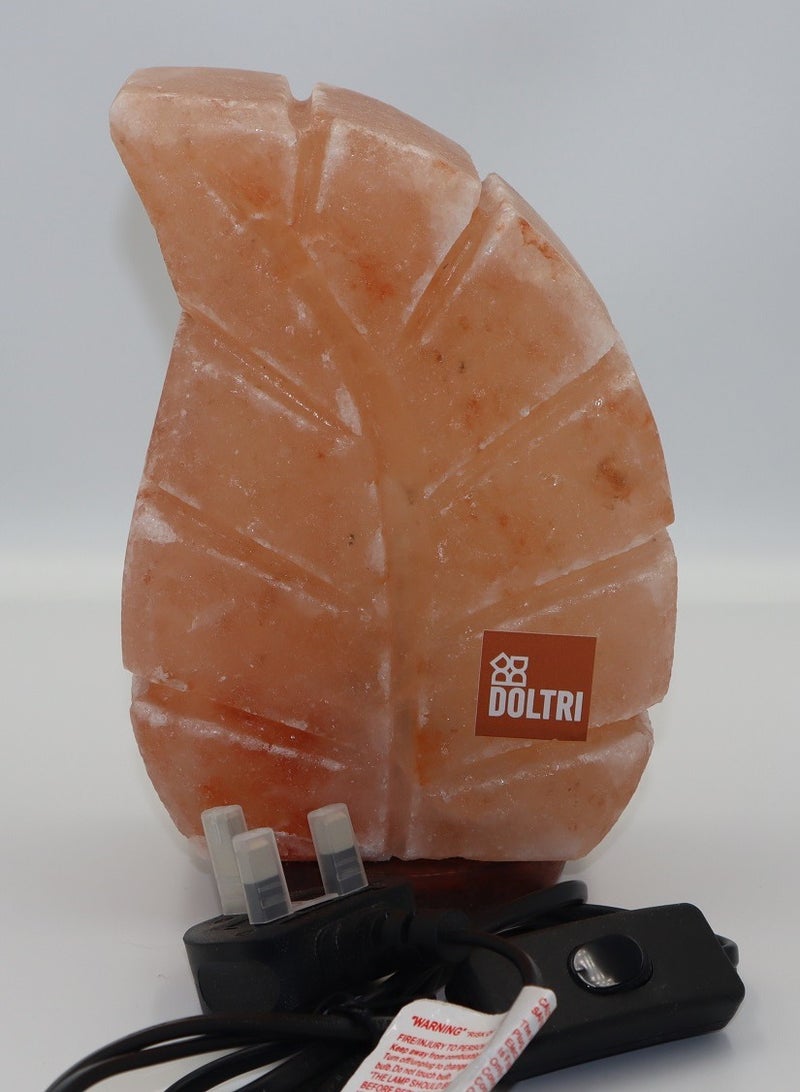 Doltri - Natural Himalayan Salt Lamp (Leaf Shape) - Image 4
