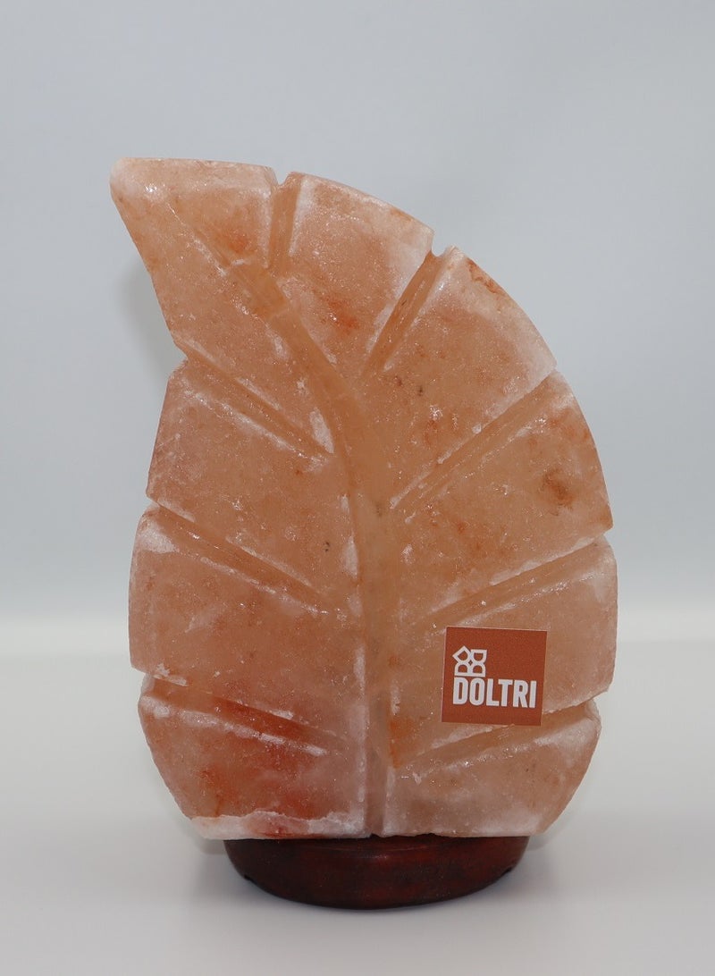 Doltri - Natural Himalayan Salt Lamp (Leaf Shape) - Image 3