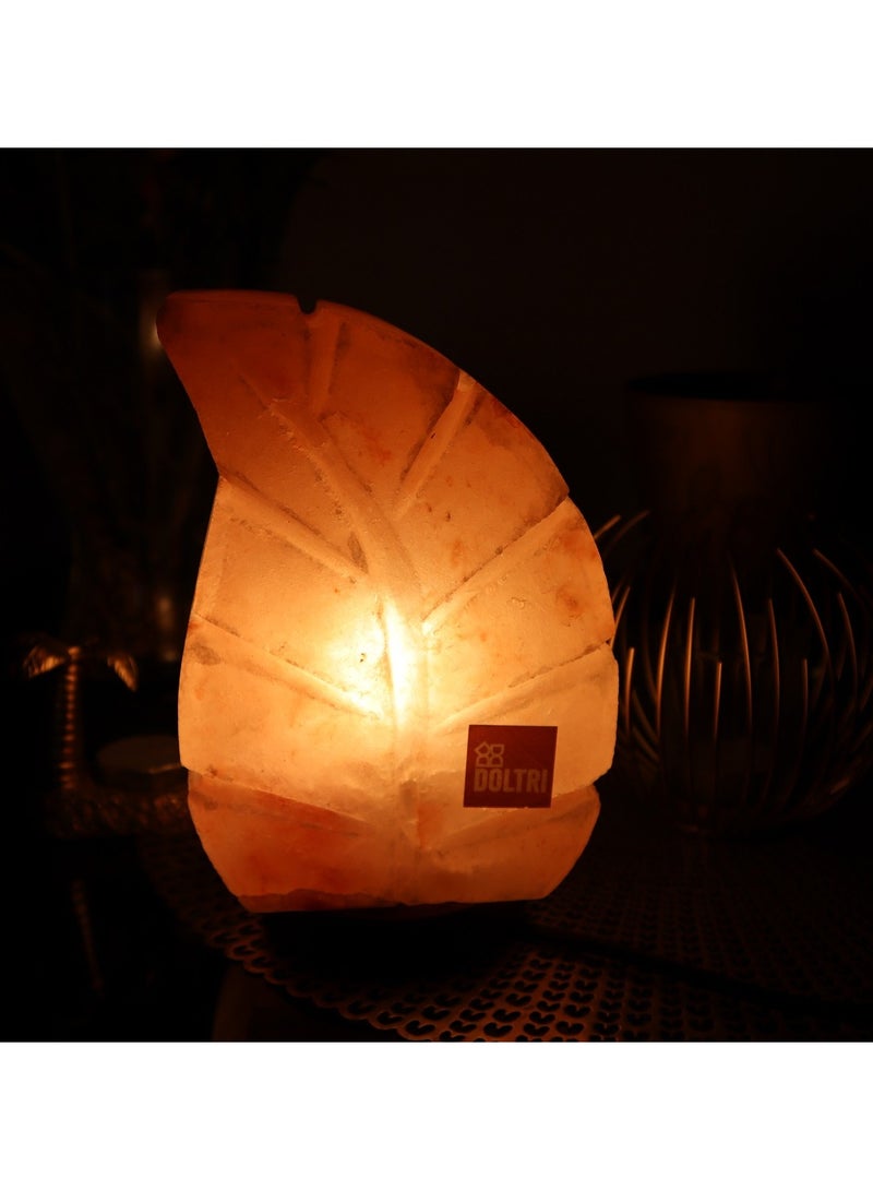 Doltri - Natural Himalayan Salt Lamp (Leaf Shape) - Image 2