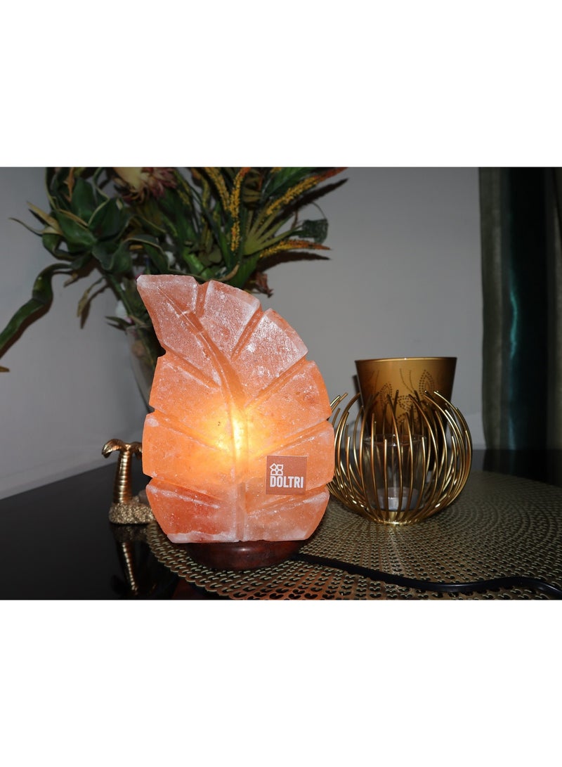 Doltri - Natural Himalayan Salt Lamp (Leaf Shape) - Image 1
