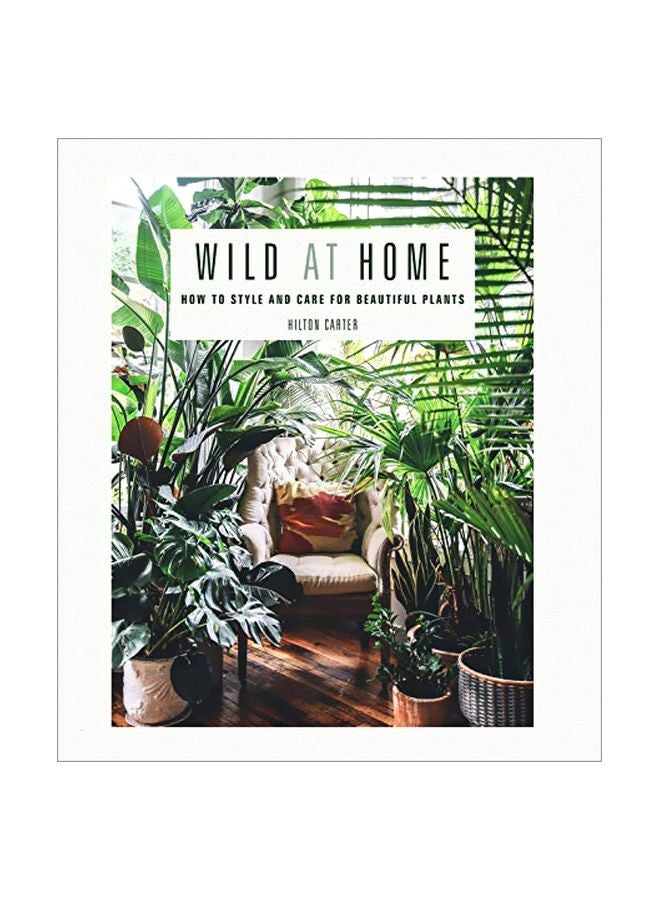 Wild At Home: How To Style And Care For Beautiful Plants
