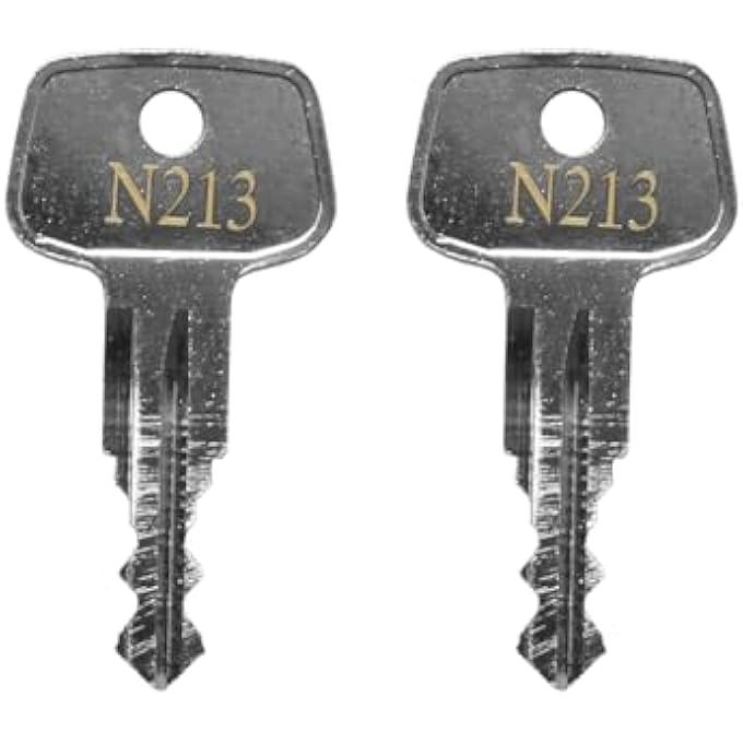 rayihni N213 Errebi Replacement Key, Car Rack Key Replacement for Yakima and Thule Ski,Cargo Box,Roof,Carrier Racks and Crossbars-Codes N213[2 pac] - Image 1
