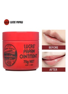 Lucas Papaw Papaw Ointment Ointment 75grams, Rich In Papaw and Avocado Extracts, Improve Dry Skin, Prevent Dryness and Peeling, Multi-Purpose Balm For Hydrating Lip/Skin/Cuticles/Nails/Beauty Finishing  - Image 1