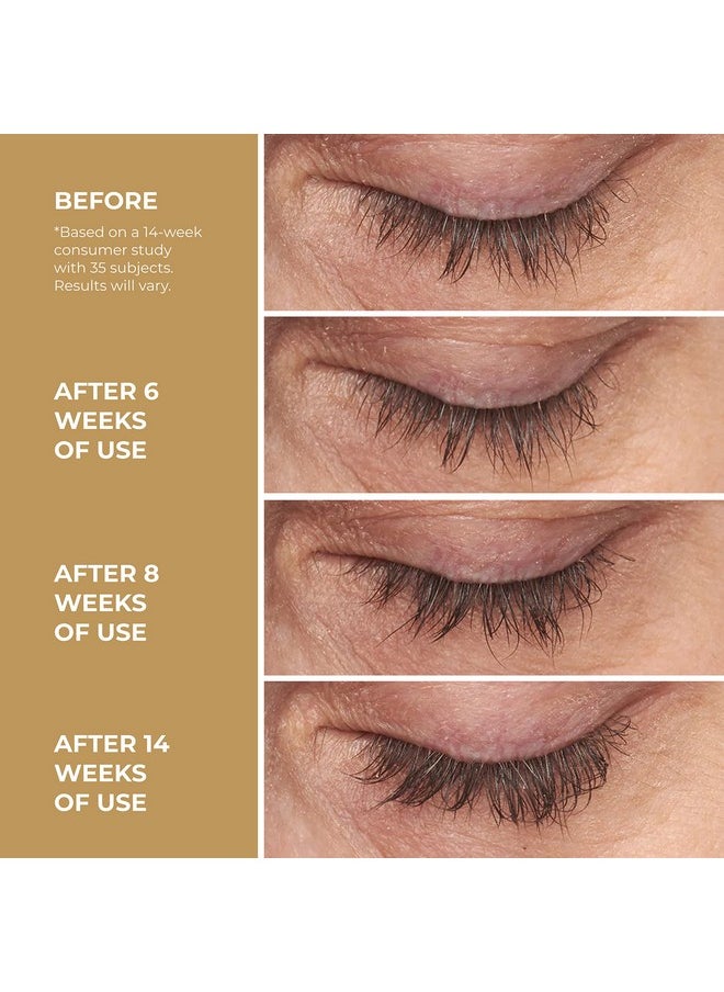 Lilly Lashes - Level Up Conditioning Lash Serum Eyelash Serum Eyelash Serum For Fuller Natural Lashes Non Irritating Lash Serum And Eyebrow Serum Lash Therapy - Image 1