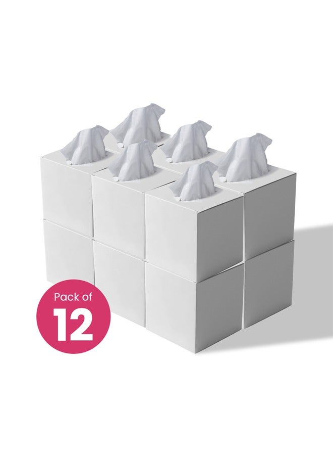 BRANDSFINITY 2 Ply Facial Tissue 1200 Sheets in Cube Boxes - Contains 12 Box of 100 Premium Quality Soft and Absorbent Tissues - Image 1