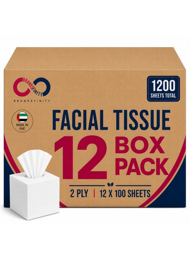 Brandsfinity Facial Tissue Cube Box, Pack of 12, Total 1200 Sheets, 2 Ply Tissues, Premium Soft Feel, Highly Absorbent, Perfect Tissues for All Skin Types, Home Office Car or Events, bulk Tissue Pack - Image 1