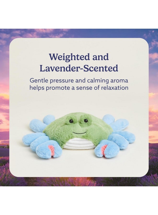 Warmies دمى محشوة دافئة قابلة للتسخين بالميكروويف ووزنها، سرطان أزرق - دمية محشوة مدفأة للدفء والراحة - ألعاب محشوة ناعمة لطيفة للبالغين والأطفال (الأولاد، البنات، الرضع والأطفال الصغار) - Image 3