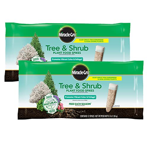 Miracle-Gro Tree & Shrub Plant Food Spikes, 12 Spikes (2-Pack) - Image 1