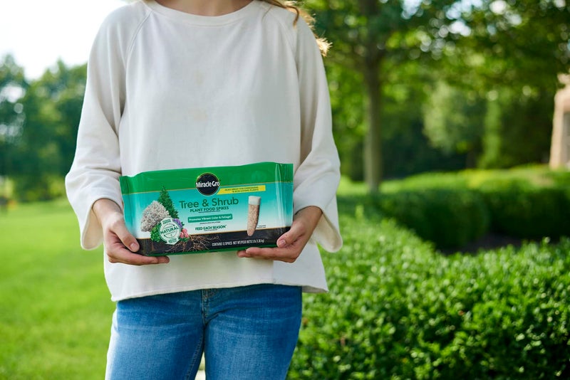 Miracle-Gro Tree & Shrub Plant Food Spikes, 12 Spikes (2-Pack) - Image 4