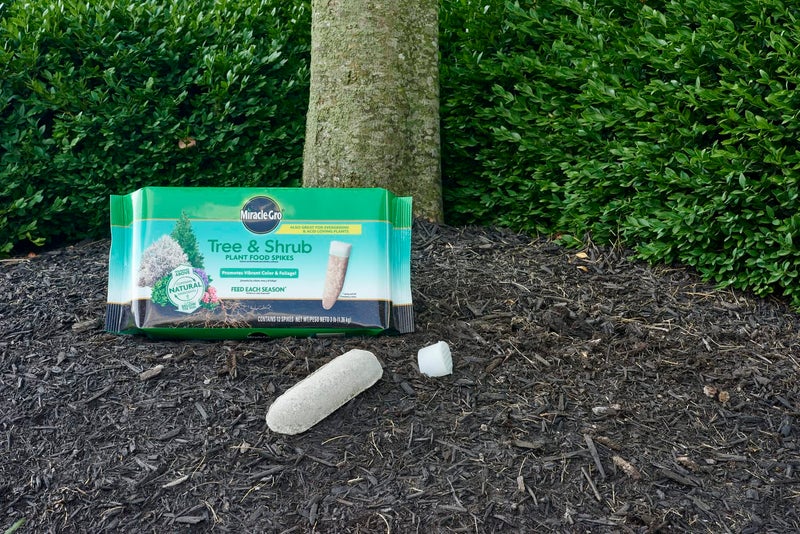 Miracle-Gro Tree & Shrub Plant Food Spikes, 12 Spikes (2-Pack) - Image 3