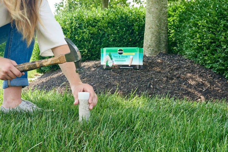 Miracle-Gro Tree & Shrub Plant Food Spikes, 12 Spikes (2-Pack) - Image 2