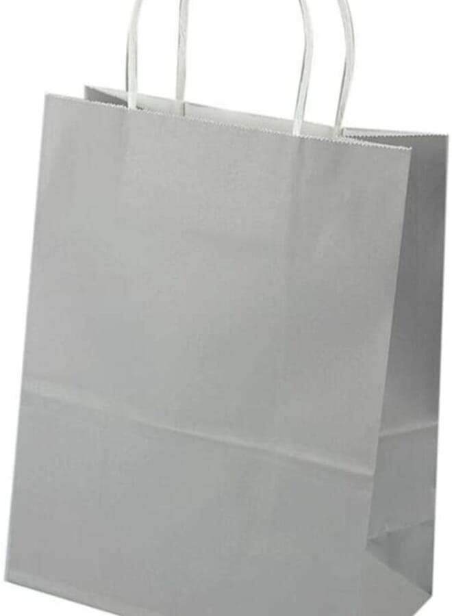 Party Time 12 Pieces Paper Shopping Kraft Bag 21X27X11Centimeter Grey - Image 1