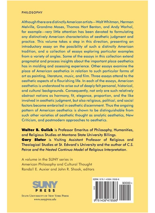 American Aesthetics: Theory and Practice  - Image 2