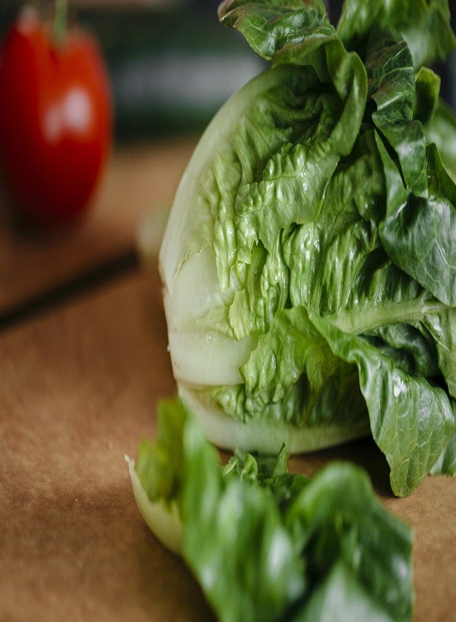 ديكساس لوح تقطيع مركب من ألياف طبيعية من ديكساس، آمن للاستخدام في غسالة الأطباق، 17.25 بوصة × 12.75 بوصة - Image 4