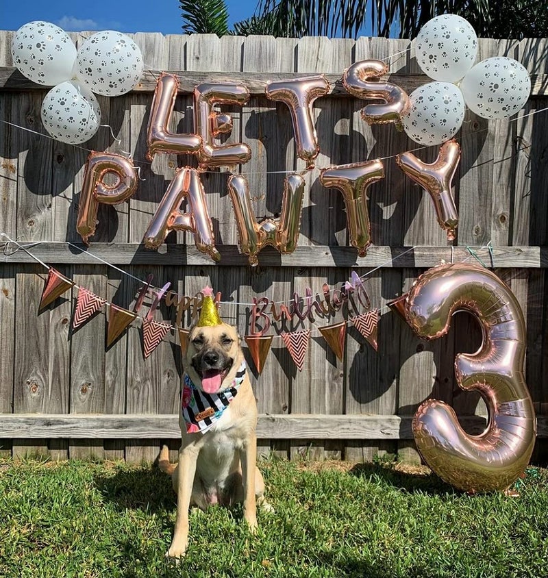 Atpata Funky Dog Birthday Celebration LETS PAWTY/WOOF/FUREVER YOUNG 16 INCH Text Foil Balloons Set (LETS PAWTY Rose Gold), Large (Foil-LetsPawtyRG) - Image 4