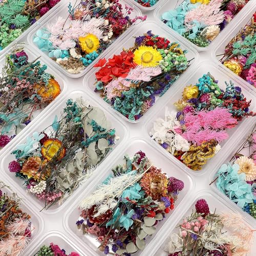BanteyBanatey Real Natural Dried Mix Flowers for Resin Art, Soap Making, Jewellery Making, Candle Making, Scrapbooking, DIY Crafts (1 Random Box only) - Image 1