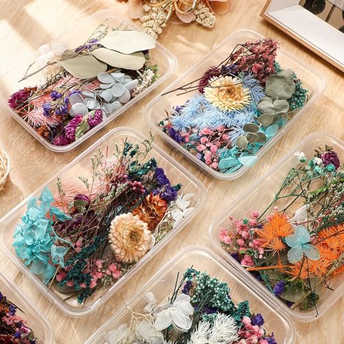 BanteyBanatey Real Natural Dried Mix Flowers for Resin Art, Soap Making, Jewellery Making, Candle Making, Scrapbooking, DIY Crafts (1 Random Box only) - Image 2