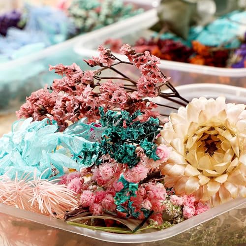 BanteyBanatey Real Natural Dried Mix Flowers for Resin Art, Soap Making, Jewellery Making, Candle Making, Scrapbooking, DIY Crafts (1 Random Box only) - Image 5