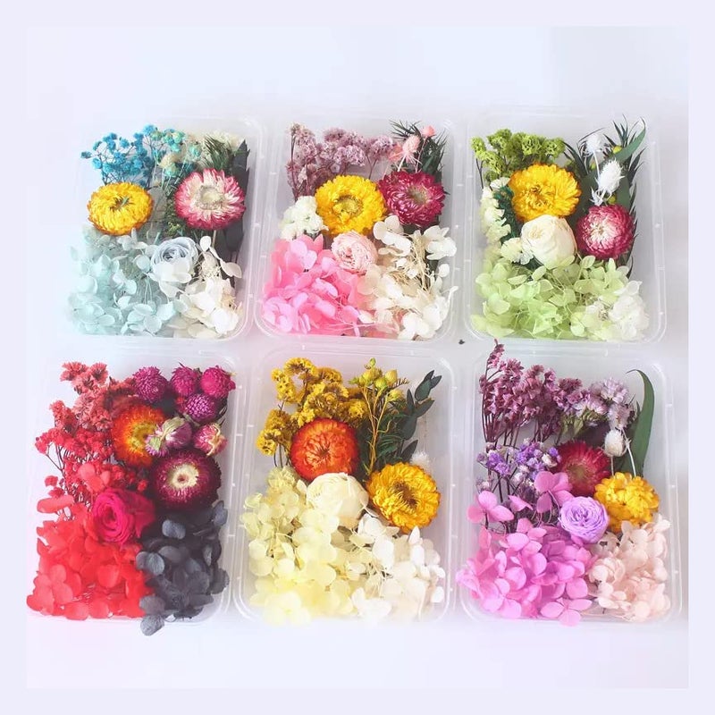 BanteyBanatey Real Natural Dried Mix Flowers for Resin Art, Soap Making, Jewellery Making, Candle Making, Scrapbooking, DIY Crafts (1 Random Box only) - Image 4