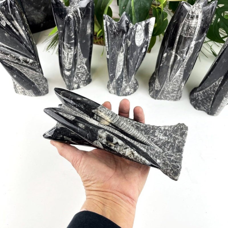 PANAKUMUS Orthoceras Fossil Tower or Kuber Stone Tower Weight12002000 GM Premium 89 Inch Handcrafted Ancient Fossil Decorl for Wealth Prosperity Grounding Energy - Image 4