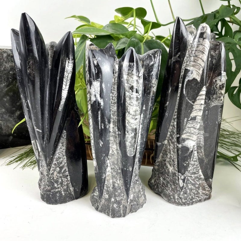 PANAKUMUS Orthoceras Fossil Tower or Kuber Stone Tower Weight12002000 GM Premium 89 Inch Handcrafted Ancient Fossil Decorl for Wealth Prosperity Grounding Energy - Image 2