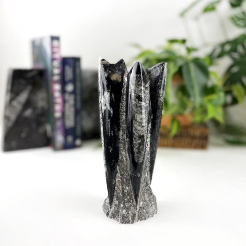 PANAKUMUS Orthoceras Fossil Tower or Kuber Stone Tower Weight12002000 GM Premium 89 Inch Handcrafted Ancient Fossil Decorl for Wealth Prosperity Grounding Energy - Image 1