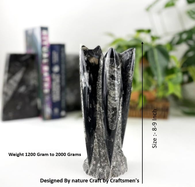 PANAKUMUS Orthoceras Fossil Tower or Kuber Stone Tower Weight12002000 GM Premium 89 Inch Handcrafted Ancient Fossil Decorl for Wealth Prosperity Grounding Energy - Image 3