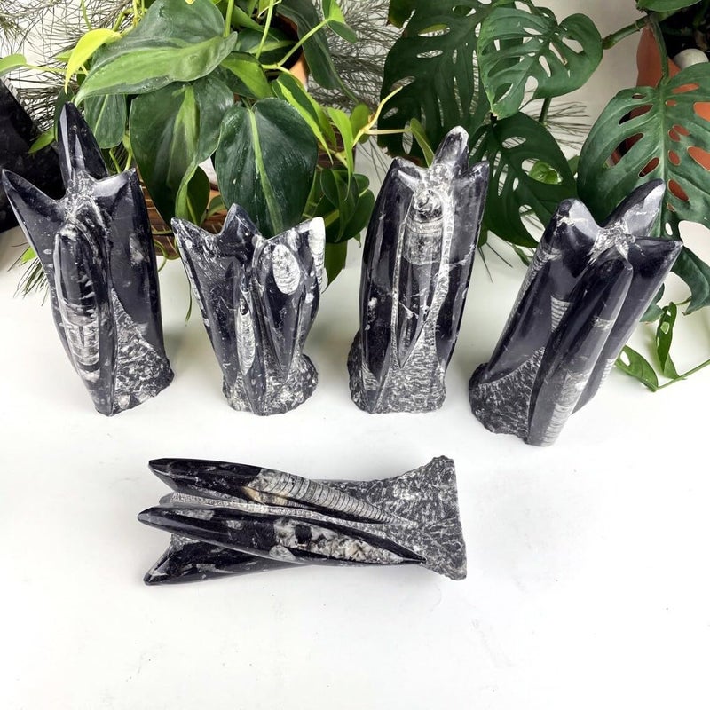 PANAKUMUS Orthoceras Fossil Tower or Kuber Stone Tower Weight12002000 GM Premium 89 Inch Handcrafted Ancient Fossil Decorl for Wealth Prosperity Grounding Energy - Image 5
