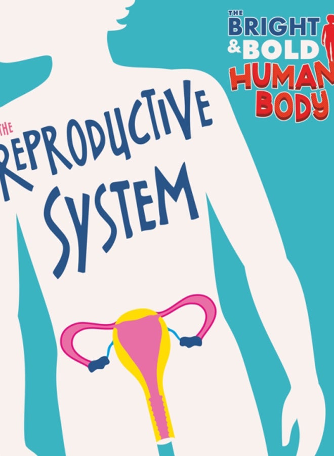 The Bright and Bold Human Body: The Reproductive System