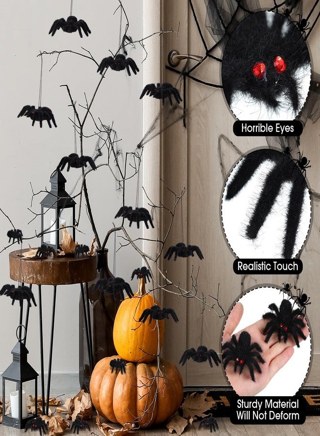 Seenelling مجموعة زينة عناكب معلقة للهالوين من سينيلينج، 24 قطعة، عناكب صغيرة واقعية ذات شعر كثيف، دعائم مقلب مخيفة لتزيين حفلات الهالوين وبيوت الأشباح والساحات (3.15 × 4.33 بوصة، 1.77 × 2.56 بوصة) - Image 4