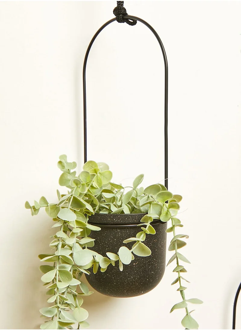 UMBRA Black Set Of 5 Triflora Hanging Planter