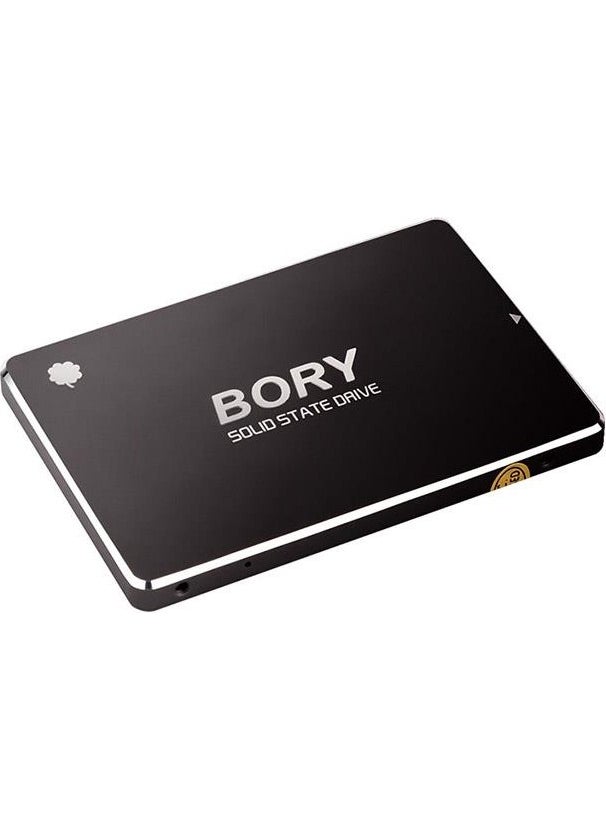 Bory - 512 GB Sata3 R500-C512G SSD 550/510 Mbs (3 Years Warranty) - Image 1
