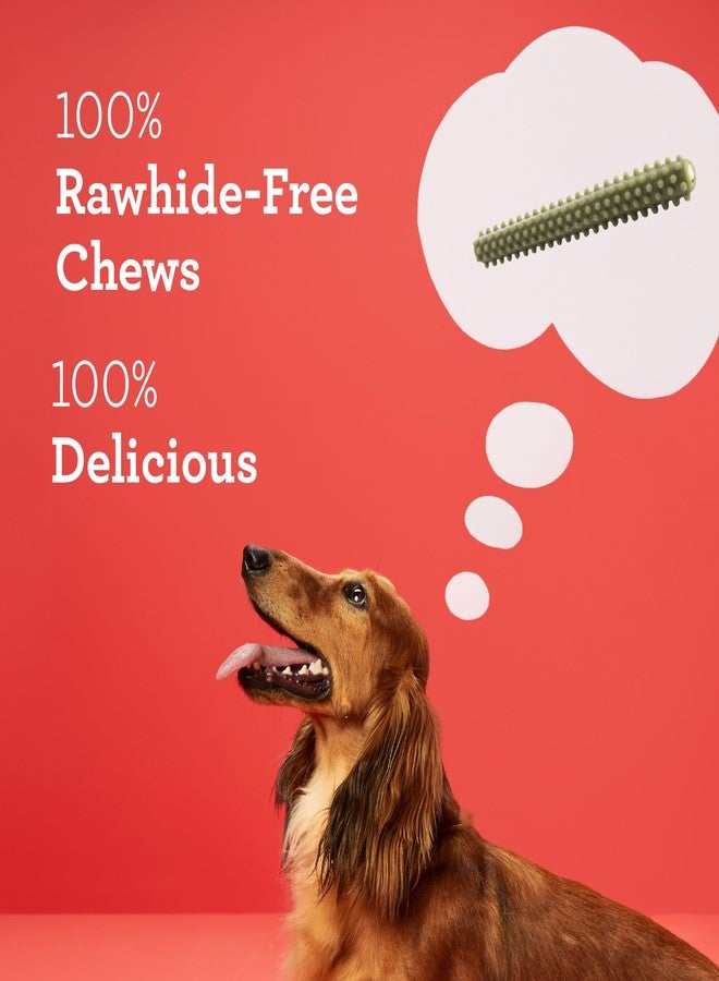 Dreambone Triple Action Dental Sticks Kelp, 10 Count, Rawhide-Free Chews for Small and Medium Sized Dogs Freshens Breath - Image 4
