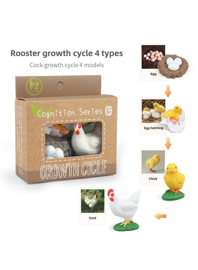 Realistic Simulation Animal Plant Models Toy Collection - Dinosaurs Dragons Unicorns Mermaids Sharks More-Color:PL127-2414 Chicken Growth Cycle + English Card + Color Box 129.7  - Image 1