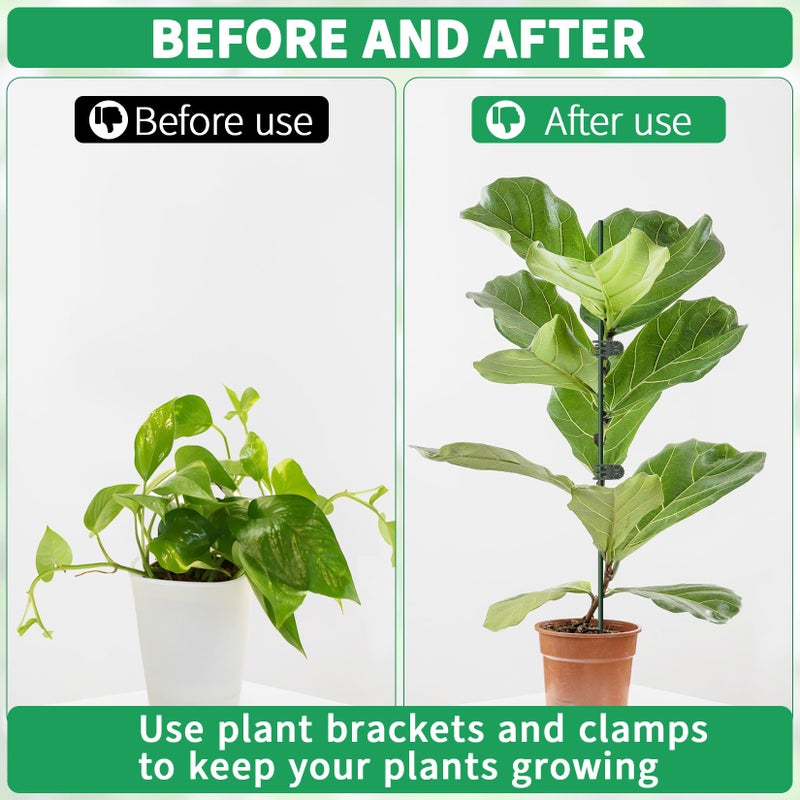 Vidroxin 10pcs 15.7" Plant Stakes with 15pcs Clips, Bendable Orchid Stakes and Clips Set Support Tall for Indoor/Outdoor Plants,Potted Plants,Single Stem Vines Flower Plant Support Sticks for Orchid Rose Peony - Image 5