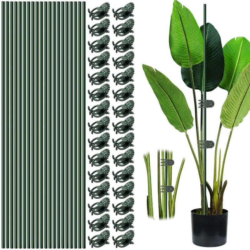 Vidroxin 10pcs 15.7" Plant Stakes with 15pcs Clips, Bendable Orchid Stakes and Clips Set Support Tall for Indoor/Outdoor Plants,Potted Plants,Single Stem Vines Flower Plant Support Sticks for Orchid Rose Peony - Image 1