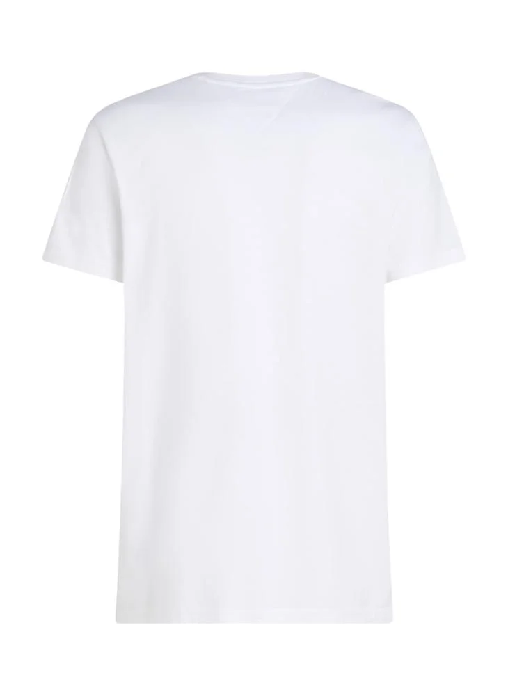 TOMMY HILFIGER Rwb Logo Print  Crew Neck T-Shirt