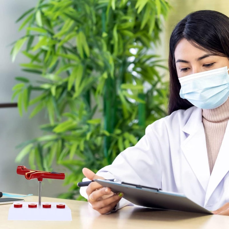 كلاراكو نموذج طبي لتصلب الشرايين البشري للقلب والأوعية الدموية: نموذج تشريحي للأوعية الدموية، لوازم تعليمية طبية لطلاب المدارس - Image 4