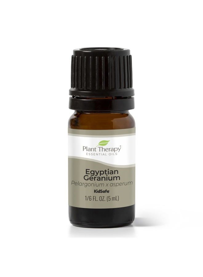 Plant Therapy Egyptian Geranium Essential Oil 100% Pure, Undiluted, Natural Aromatherapy, Therapeutic Grade 5 mL (1/6 oz) - Image 1