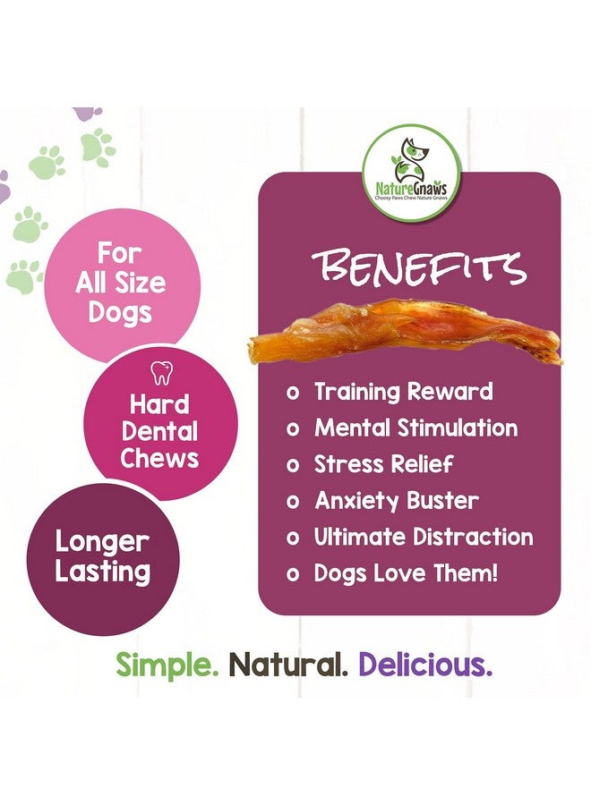 طبيعة أوتار لحم البقر للكلاب (8 أونصة) - سمك مختلط - تدوم طويلاً للكلاب الصغيرة والمتوسطة الحجم - عظام مضغ طبيعية للكلاب من لحم البقر المجفف - خالية من الجلد الخام - Image 5