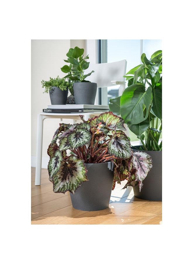 Zaboon Plant pot, dark grey, 24 cm  - Image 3