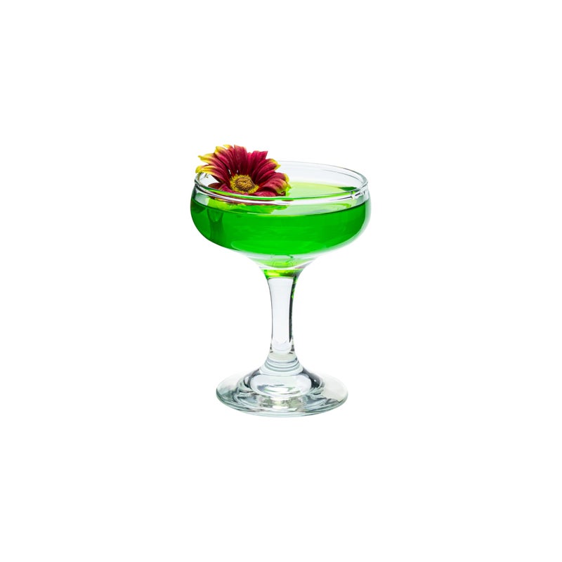 Vikko Vikko Cocktail Glasses  SMALL 52 Ounce Coupe Glass Set of 12 Classic Martini Glasses 
